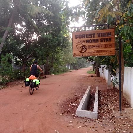 אנוראדפורה Forest View Home Stay מראה חיצוני תמונה
